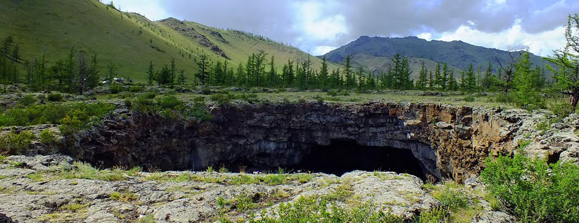 Шар нохойн там